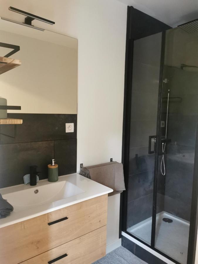 Charmant Appartement A 1 Minute Du Lac 안시 외부 사진